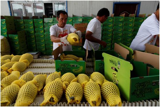 楚留香吃瓜玩具,揭秘古代侠客的趣味生活