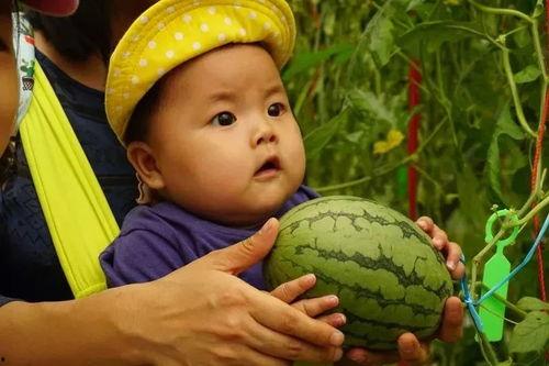 吃瓜群的美图,一窥吃瓜群里的视觉盛宴