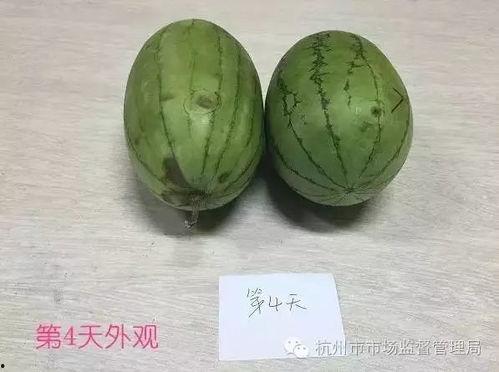 红中吃瓜2,揭秘娱乐圈背后的秘密与真相