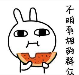 偷拍吃瓜文案搞笑,笑料连连，吃瓜群众欢乐多