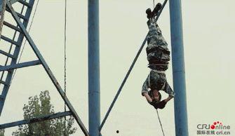 吃瓜群众变猴,揭秘网络时代的身份转变