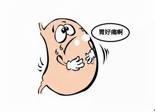 晚上吃瓜胃痛