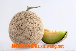 吃哈密密瓜会上火吗,揭秘吃哈密瓜是否会上火
