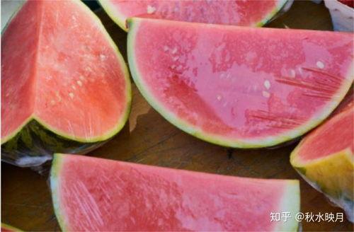 吃的最干净瓜,探寻吃的最干净瓜的秘密