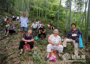 富阳永兴吃瓜,一场吃瓜盛宴背后的社区温情