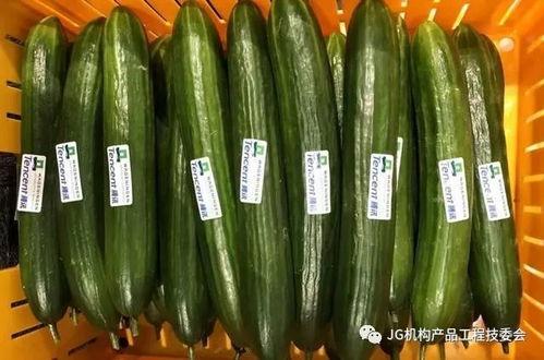 果果ai吃瓜,揭秘吃瓜界的智能新宠