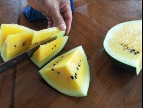 吃瓜被挂,网络热议引发社会思考