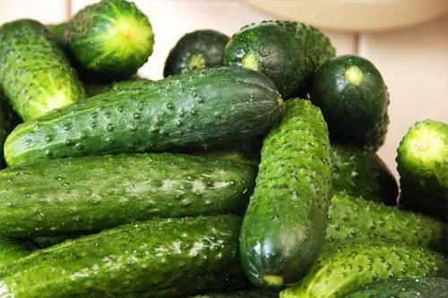 小暑吃蜜瓜视频,甜蜜蜜瓜滋味来袭！