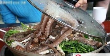 活章鱼 吃瓜,一场与“吃瓜群众”的趣味邂逅