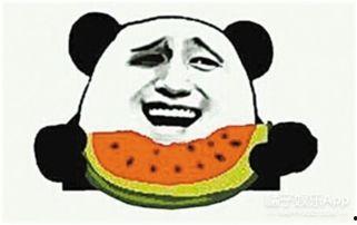 吃瓜澳大利亚,一场关于“吃瓜”的趣味之旅