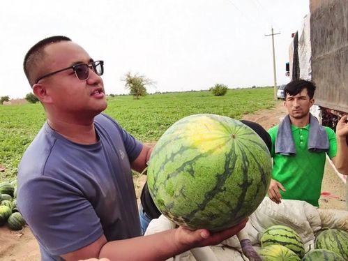 垃圾场吃瓜,吃瓜群众的环保之旅