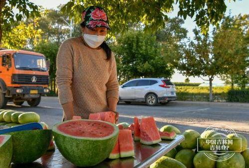 米谷吃瓜记事,趣味盎然的日常琐事集锦