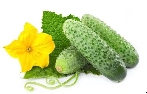 程夏吃瓜系统,揭秘娱乐圈幕后真相，带你领略明星生活百态