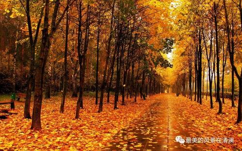 秋天妈妈吃瓜总结,妈妈的味道，家的温馨