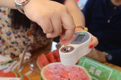 吃瓜直播卖芝麻,吃瓜群众见证芝麻直播热销奇迹