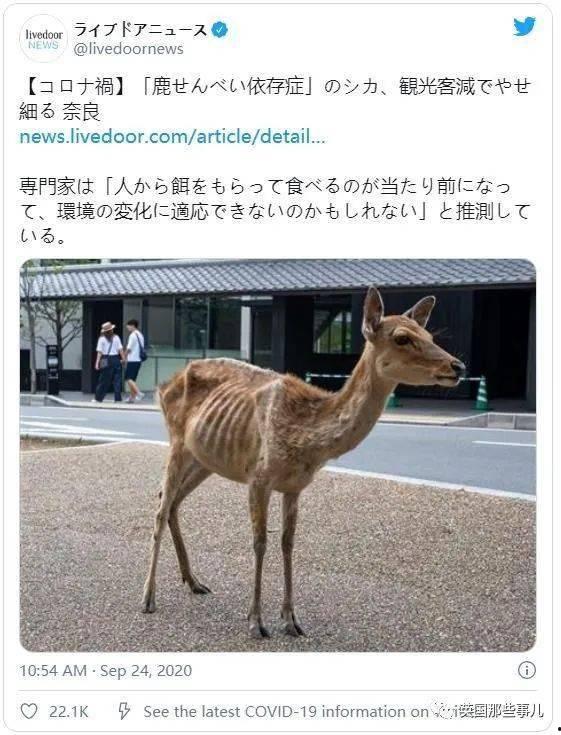 小鹿鹿吃瓜,小鹿鹿的瓜界探险记