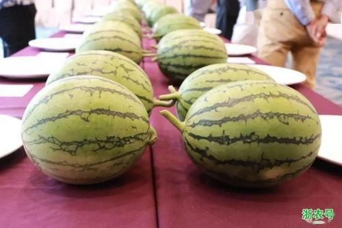 浙江的瓜怎么吃