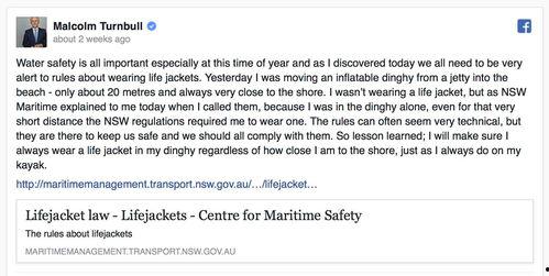 吃瓜检讨100字,反思网络舆论的盲目与责任